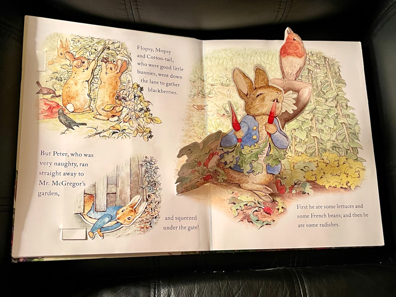 The Tale of Peter Rabbit Pop-Up Adventure Book by Beatrix Potter - photo 3