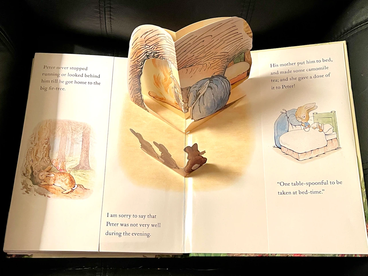 The Tale of Peter Rabbit Pop-Up Adventure Book by Beatrix Potter - photo 4