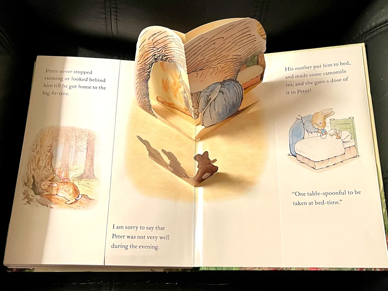 The Tale of Peter Rabbit Pop-Up Adventure Book by Beatrix Potter - photo 4