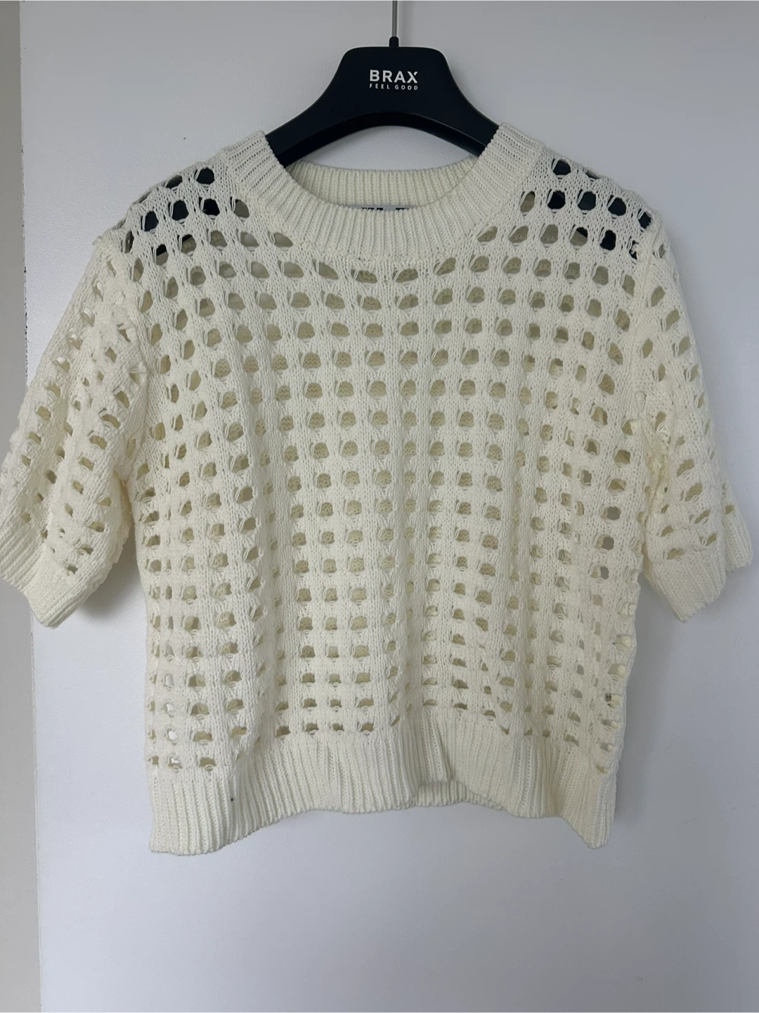 WILD PONY Cream Cropped Mesh Knit Sweater