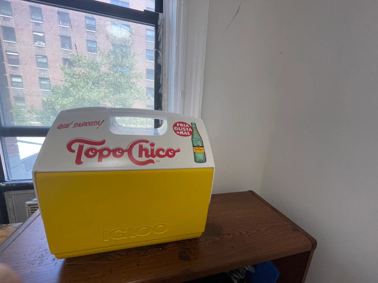Topo Chico Igloo Playmate Elite Cooler