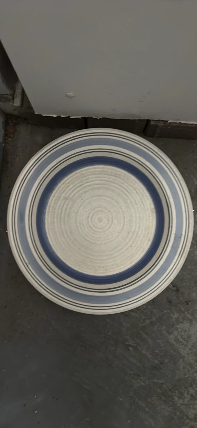 Dinner Plates
