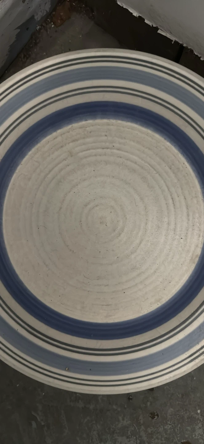 Dinner Plates - photo 3