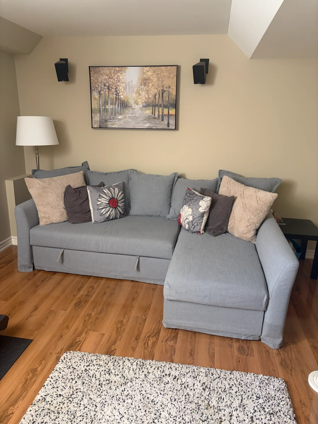 IKEA Sofa Bed & Storage