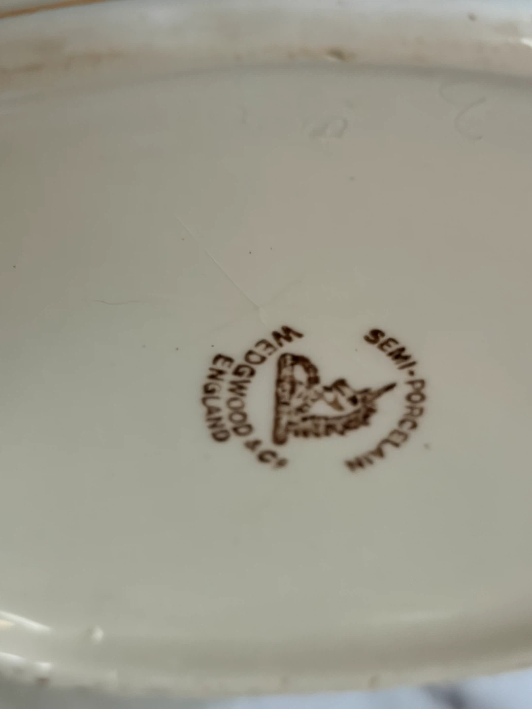 Wedgwood Semi-Porcelain Teapot - photo 2