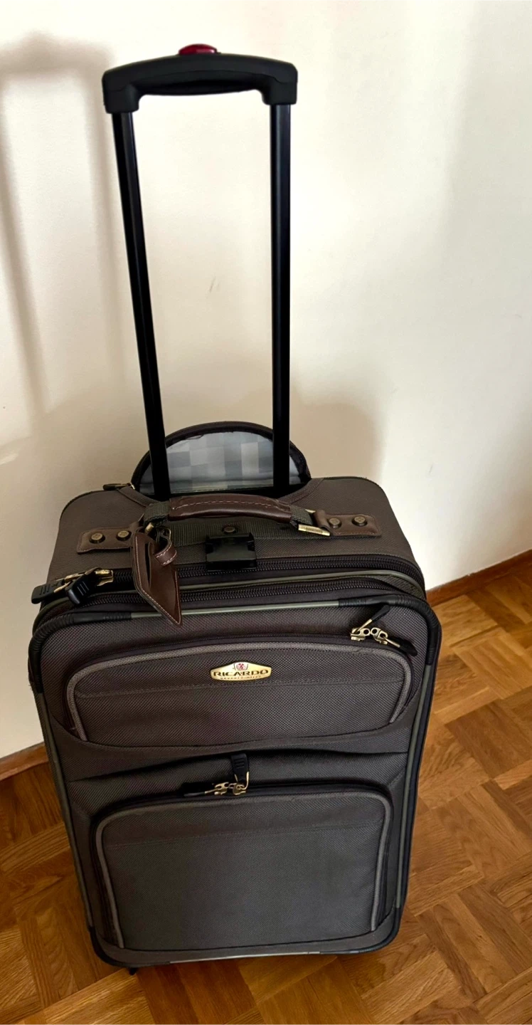 Vintage Ricardo Beverly Hills Suitcase