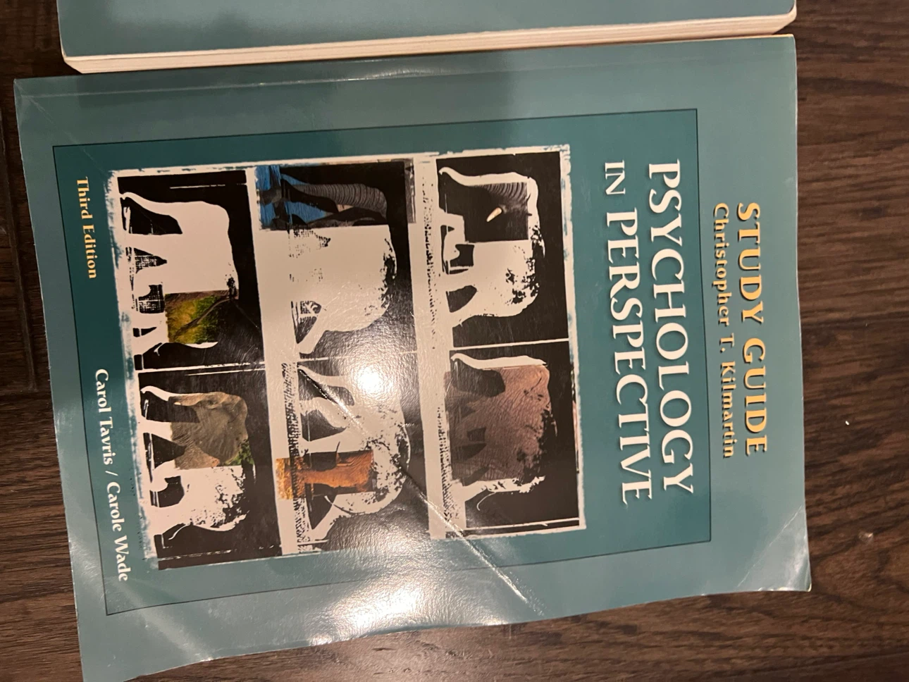 Psychology in Perspective 3rd Edition Textbook & Study Guide - photo 2