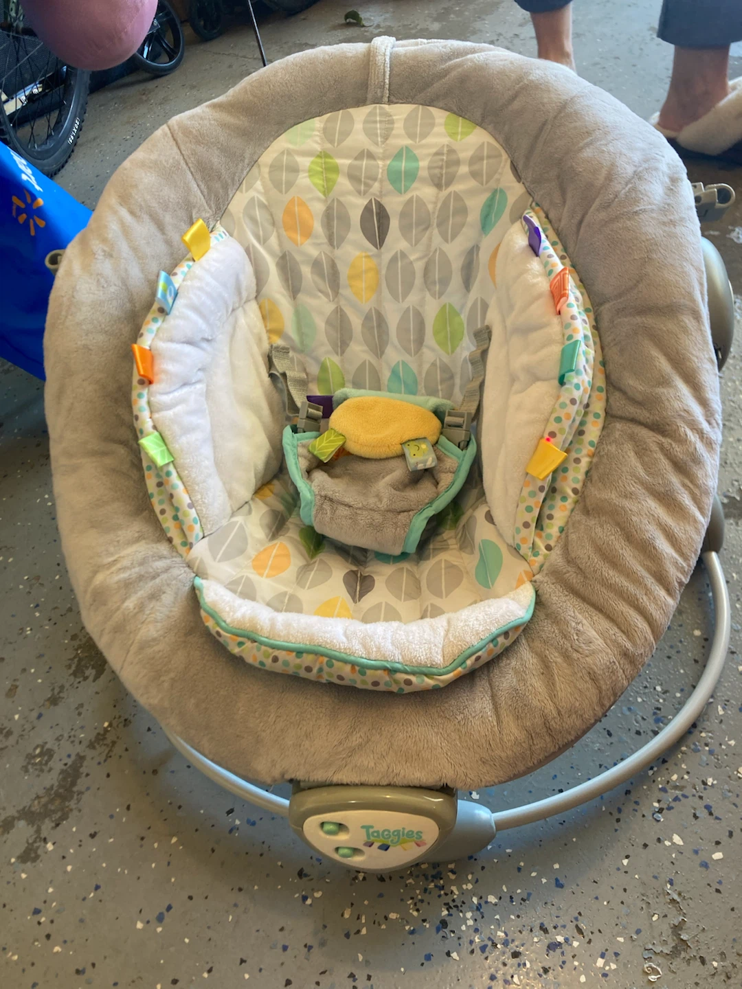 Taggies Baby Bouncer Seat