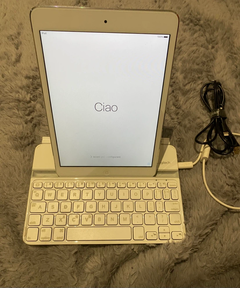 iPad - photo 2