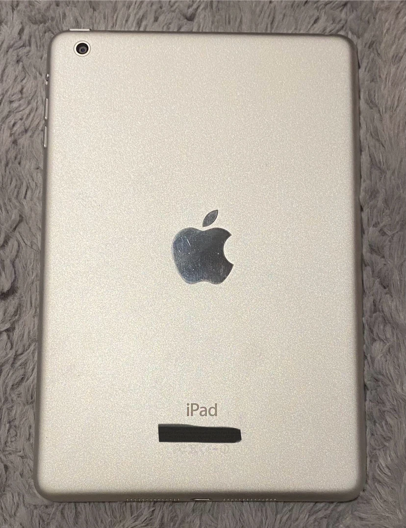 iPad - photo 3