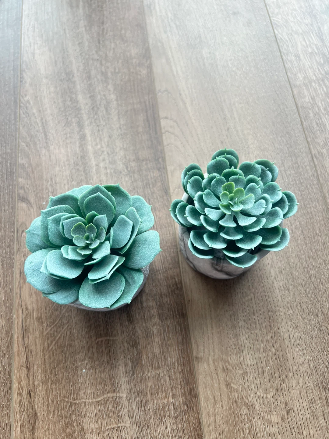 2 mini planters (with optional fake cacti) - photo 3