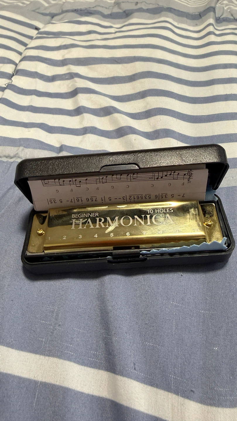 Harmonica 10 Holes