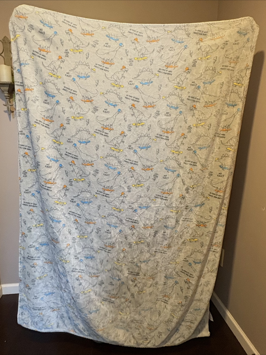 Dinosaur Skateboard Thick Fleece Blanket