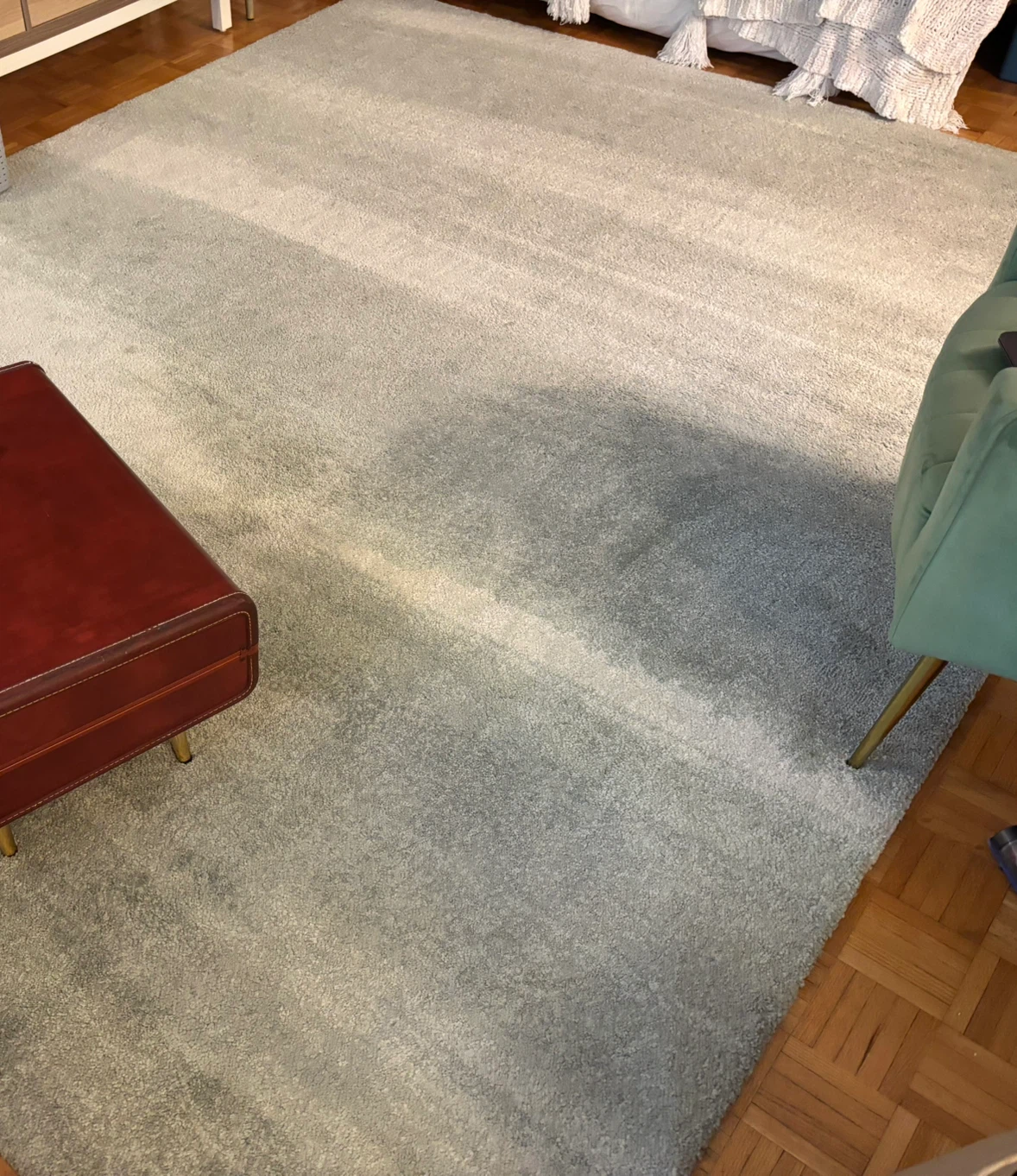 MOVING - 5’7” x 7’10” Sage Green Area Rug - photo 2