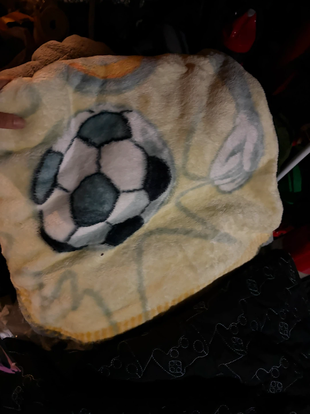 Assorted Blankets - photo 2