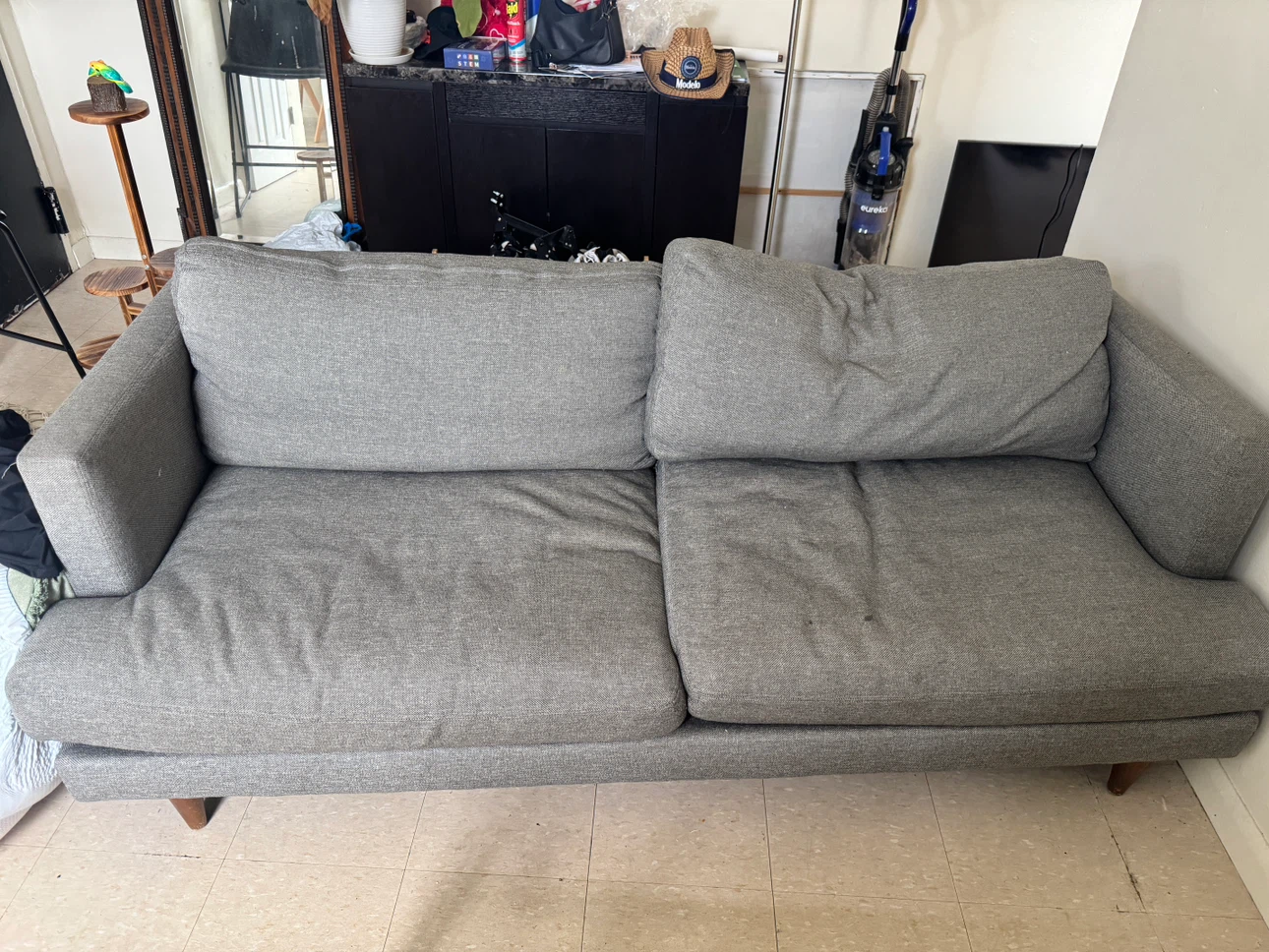 Gray Sofa