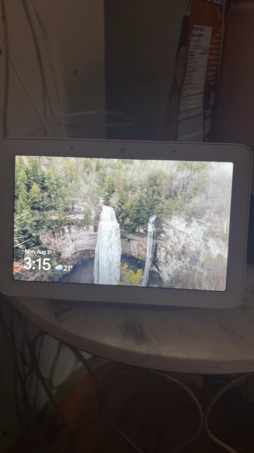 Google Nest Hub Smart Display