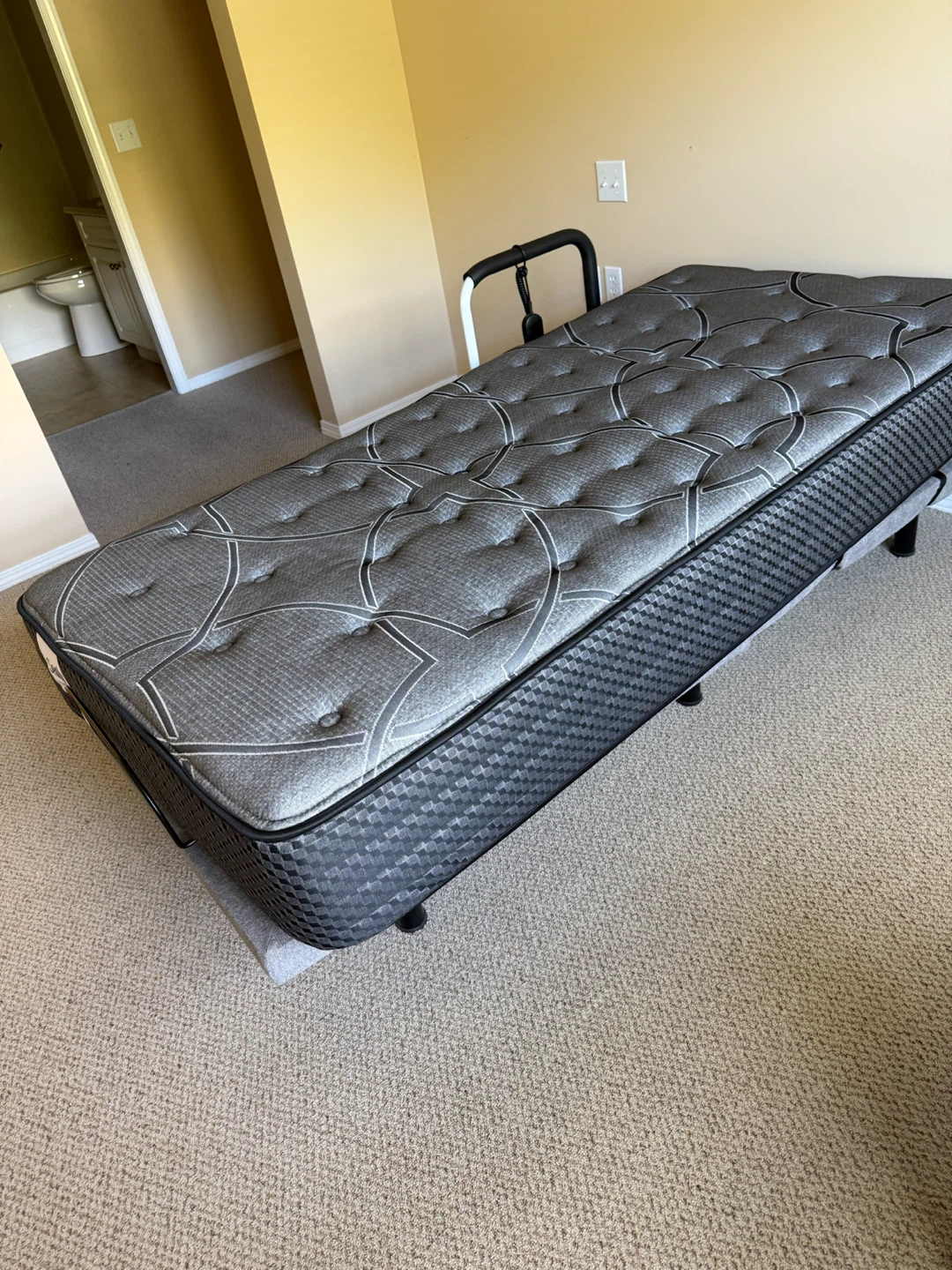 Lifestyle, electric twin XL bed