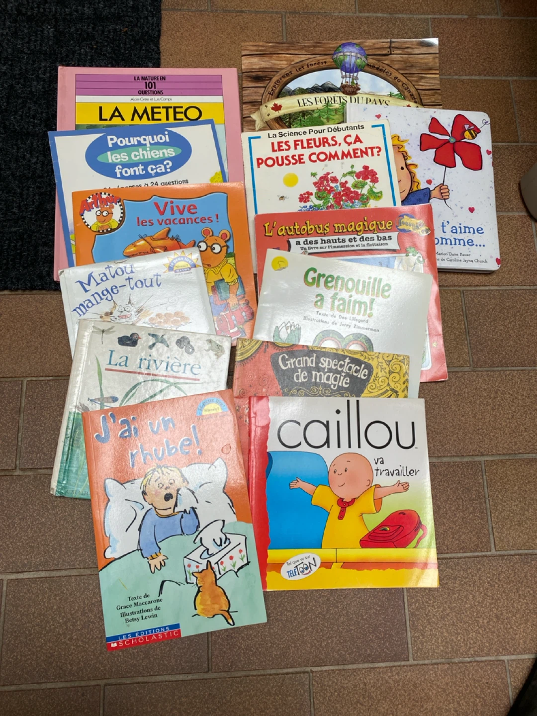 Collection of 13 French Children's Books