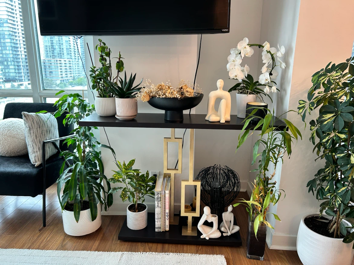 Console Table - original price $204+tax