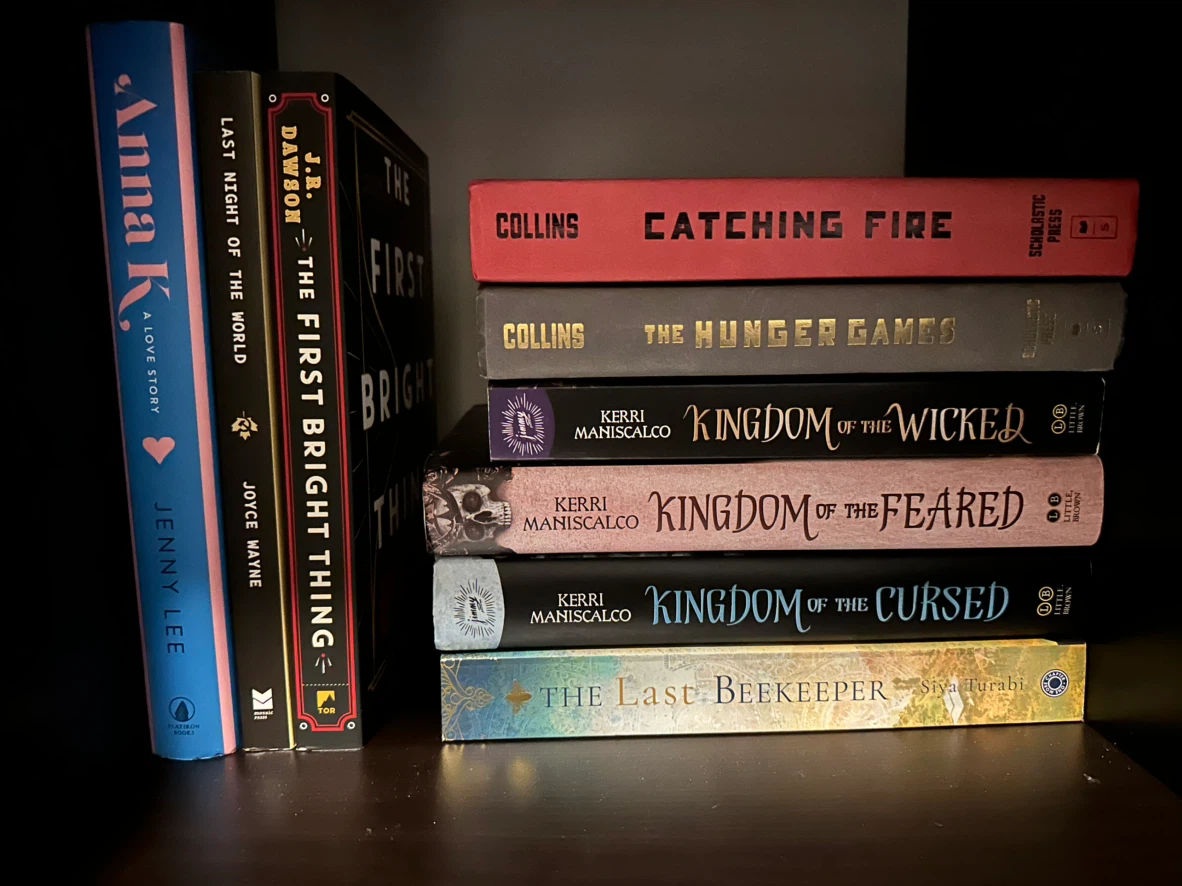 Selection of Young Adult Fiction Novels