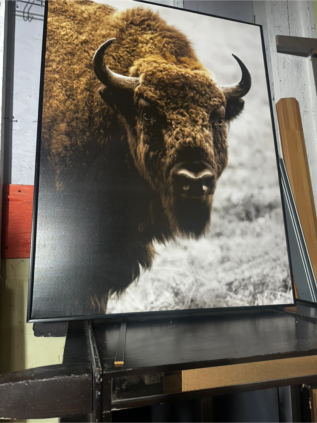 Framed Bison Wall Art
