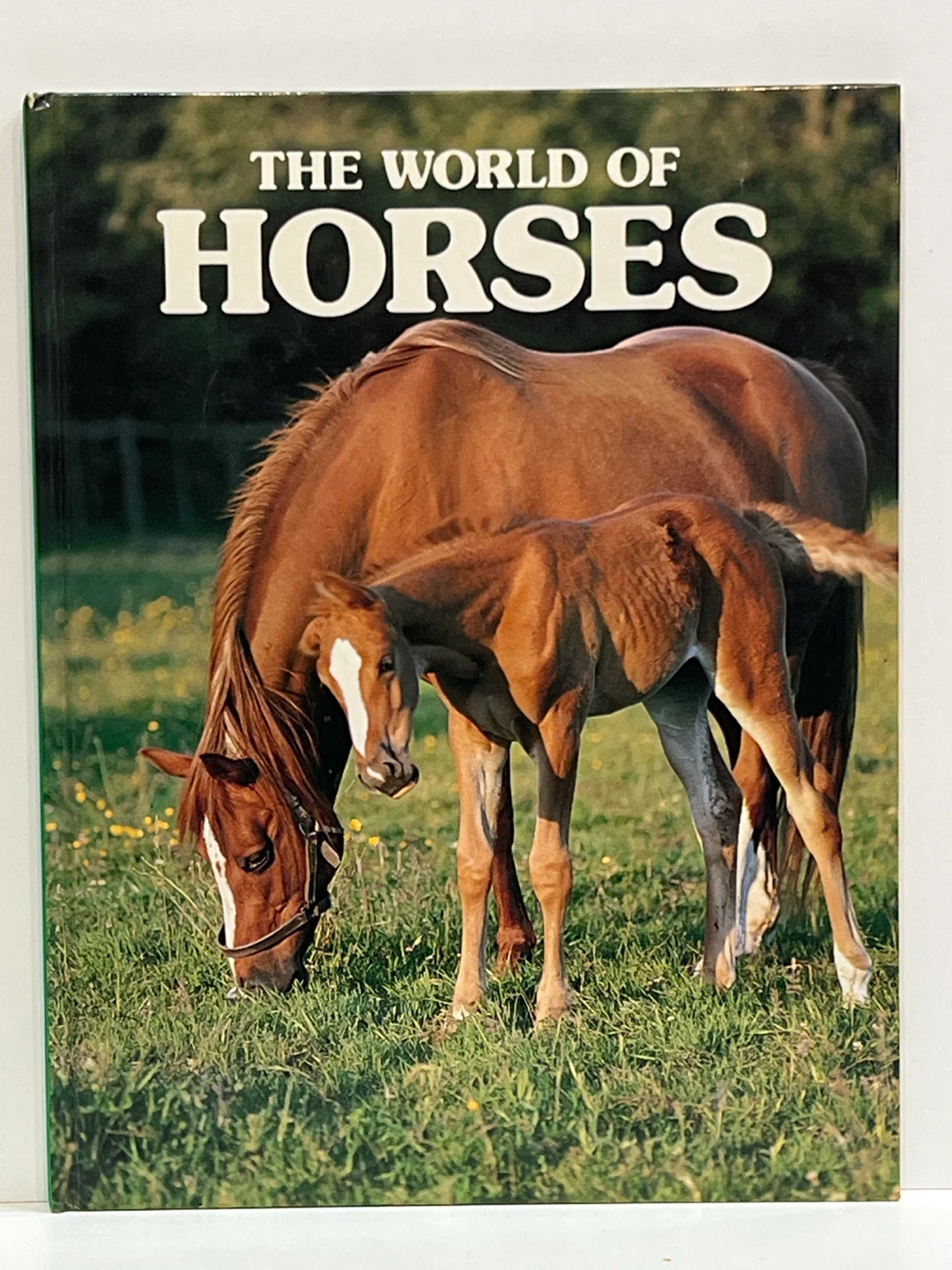 The World of Horses Book