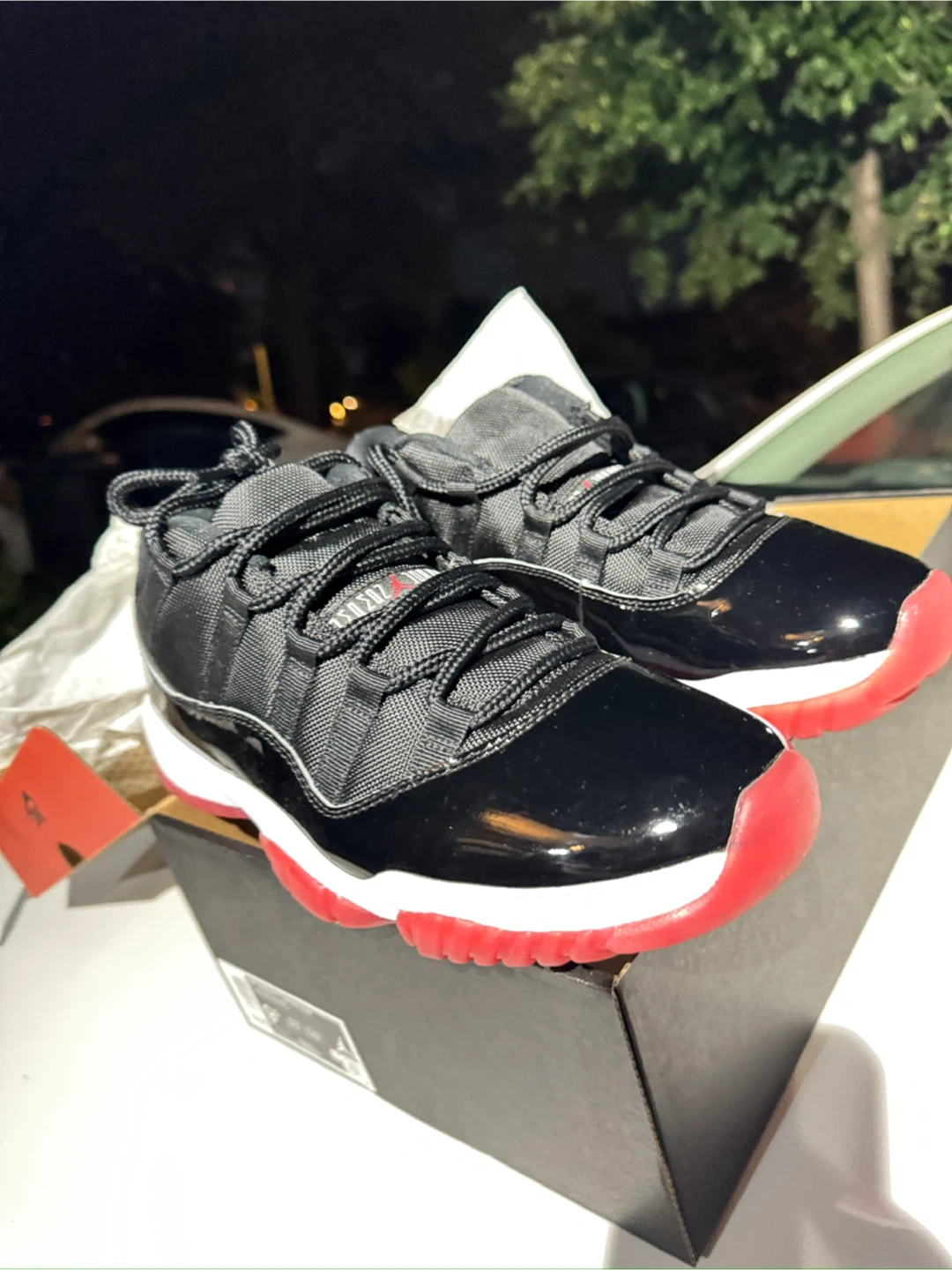 Air Jordan 11 Retro Low