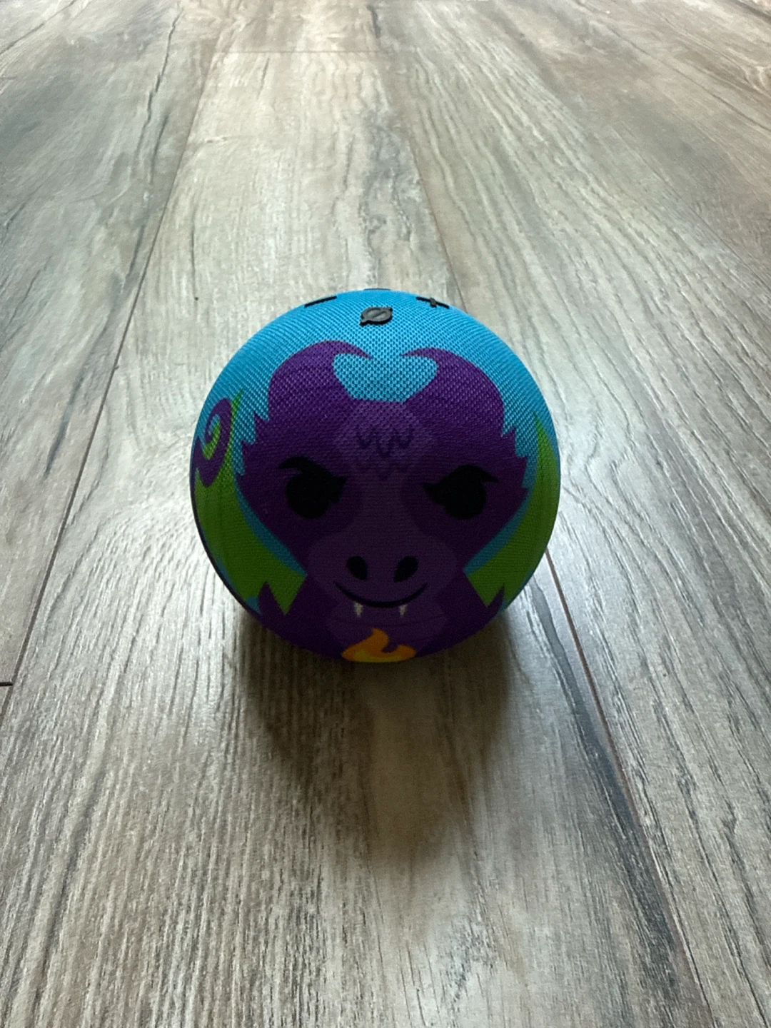 Amazon echo kids