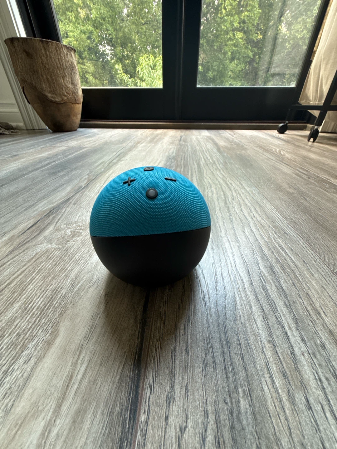 Amazon echo kids - photo 3