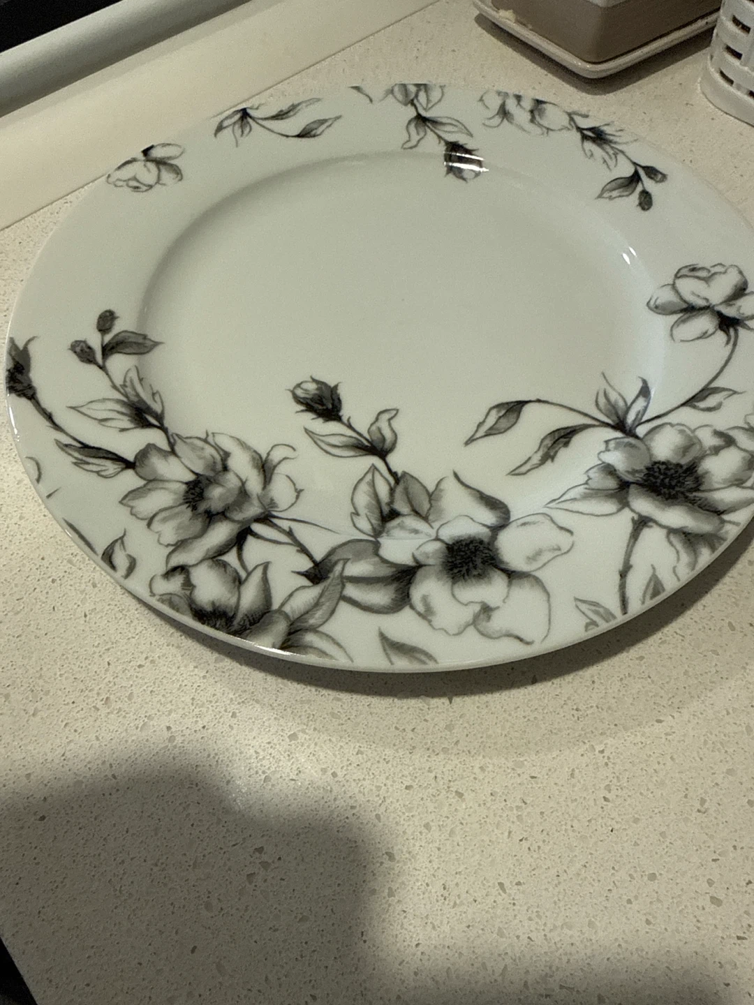CANVAS Wild Rose Porcelain Dinnerware Set