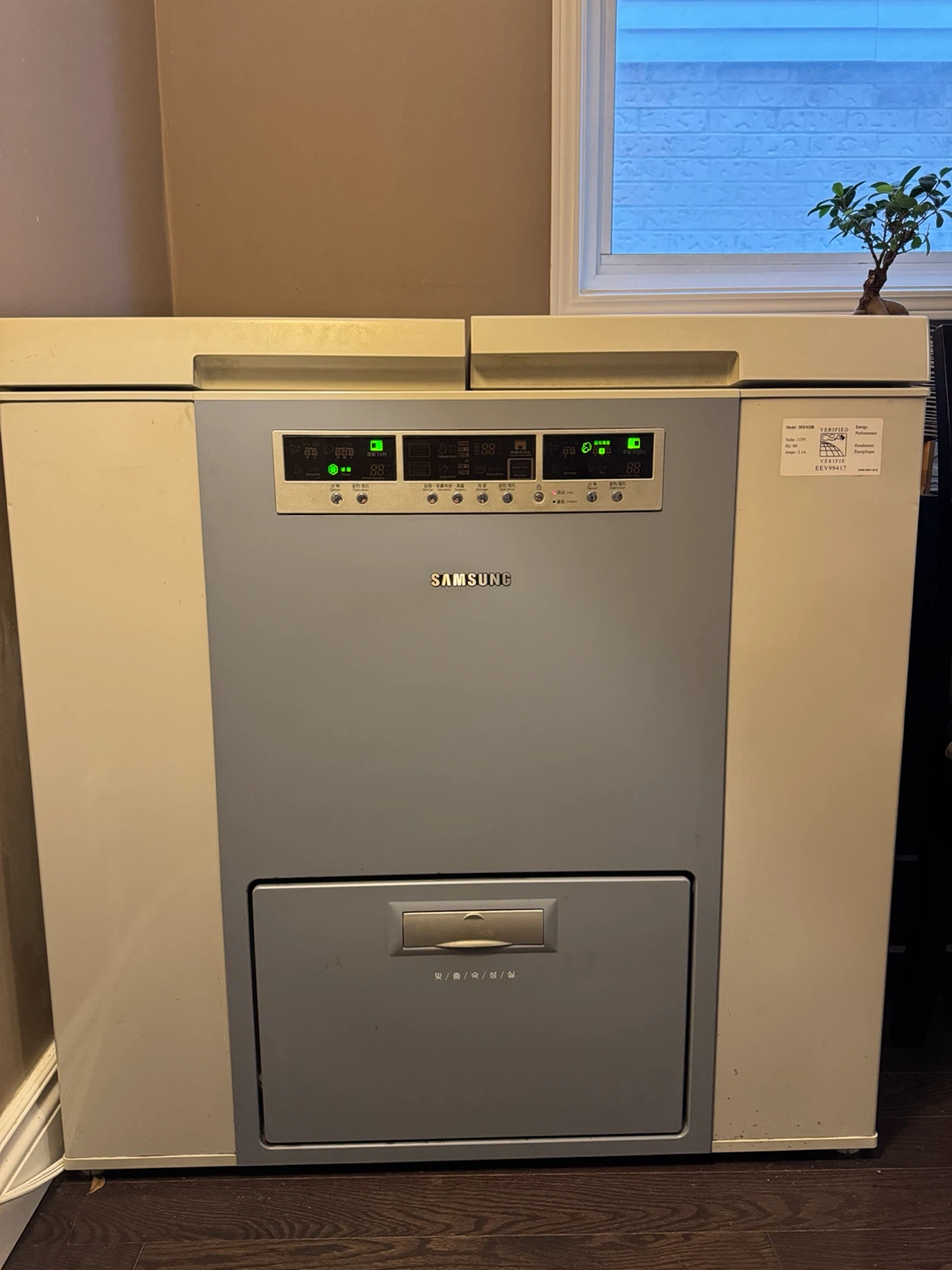 Samsung Kimchi Chest Freezer & Refrigerator