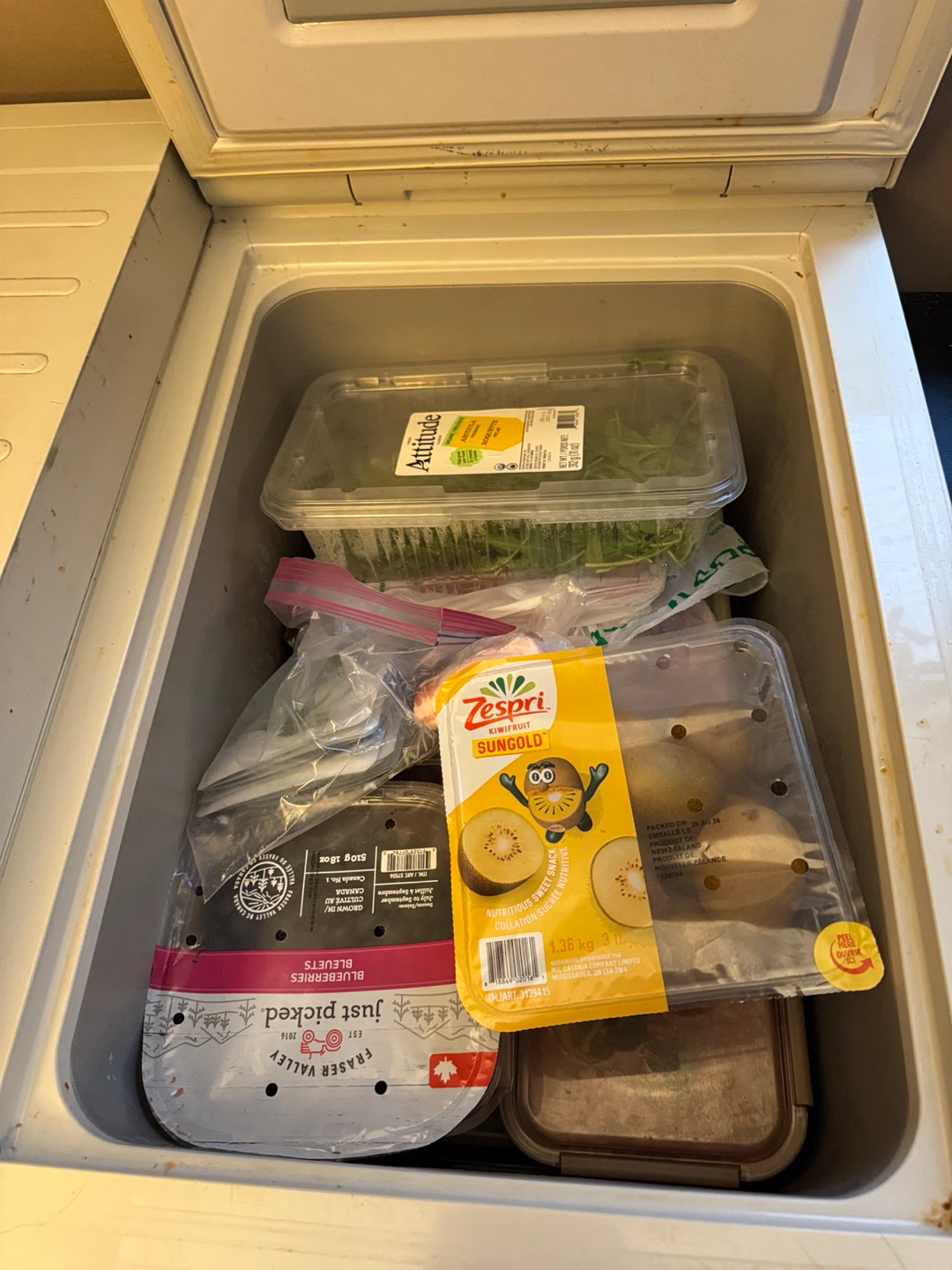 Samsung Kimchi Chest Freezer & Refrigerator - photo 3