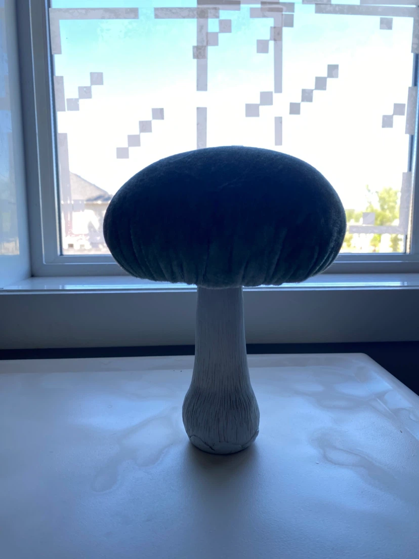 Velvet Mushroom Decor/Jewelry Holder