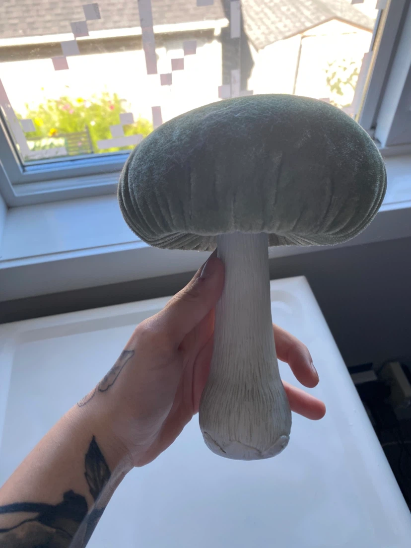 Velvet Mushroom Decor/Jewelry Holder - photo 3