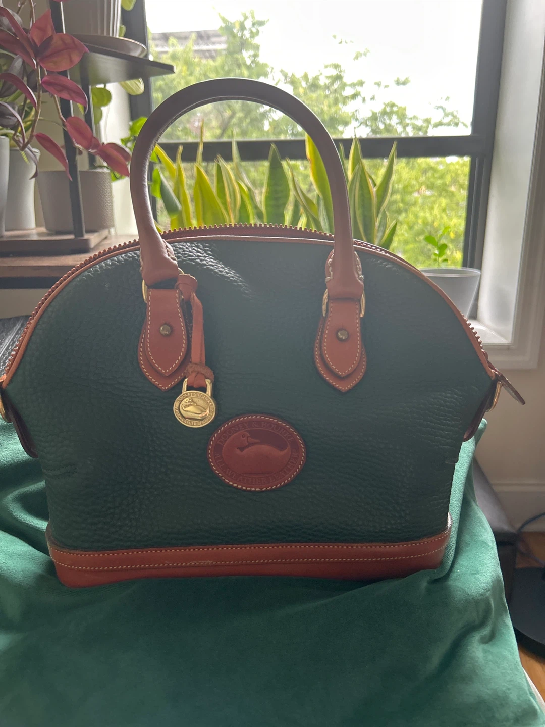 Dooney & Bourke Satchel Bag - Green & Tan Leather