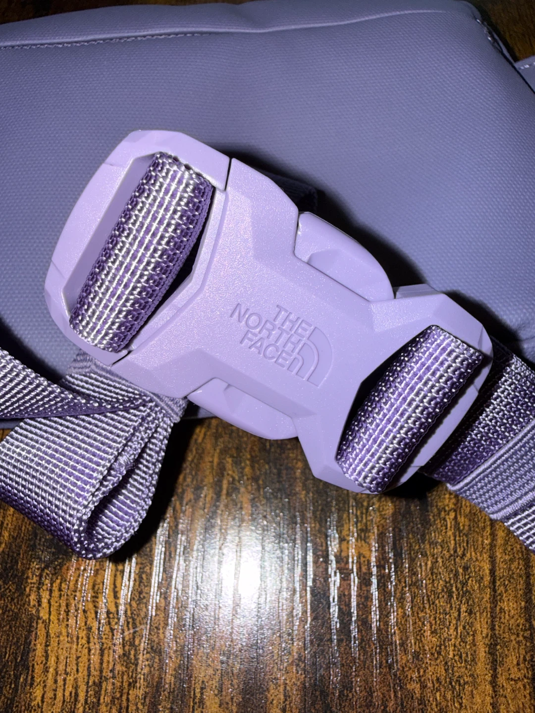 The North Face Terra 1L Lumbar Waist Bag - photo 3