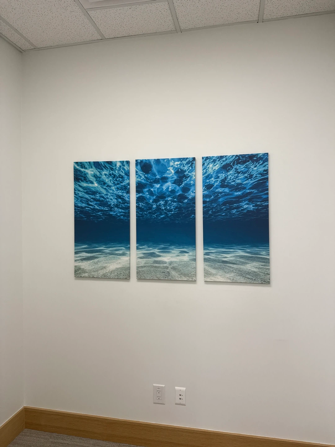Three-piece Underwater Scene Canvas Wall Painting