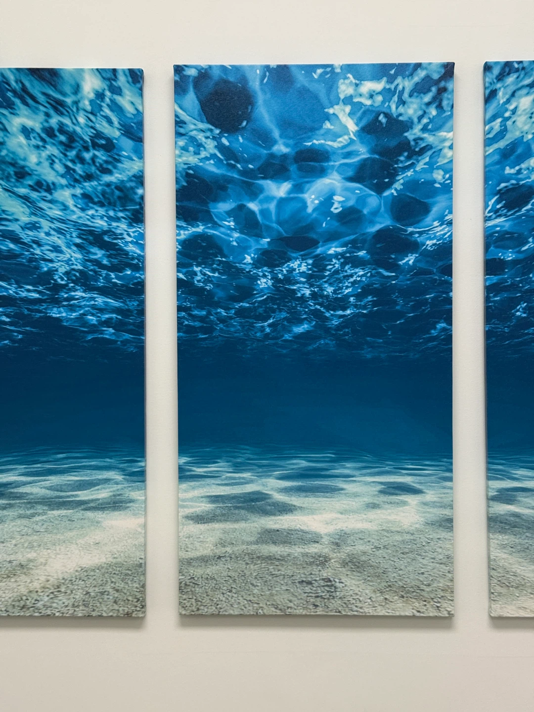 Three-piece Underwater Scene Canvas Wall Painting - photo 3