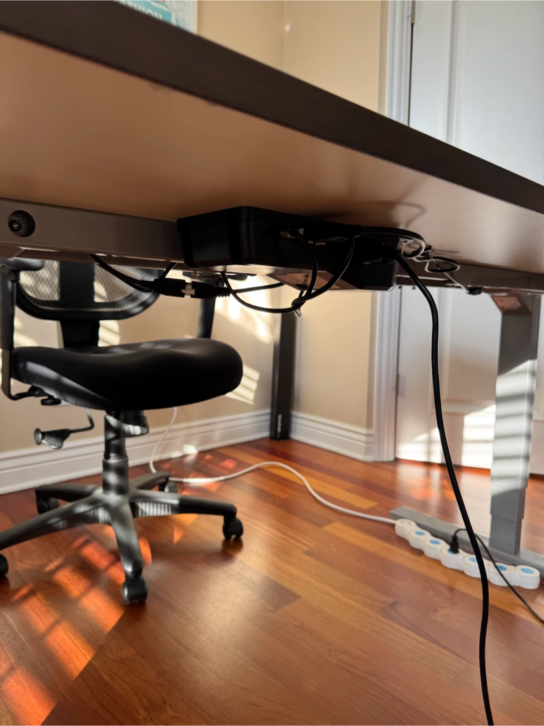BBF Standing Desk - Electric Height Adjustable - photo 2