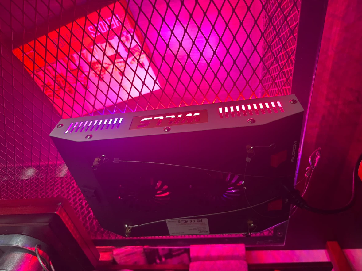 Wills 600W LED Grow Light W-D6 - photo 3