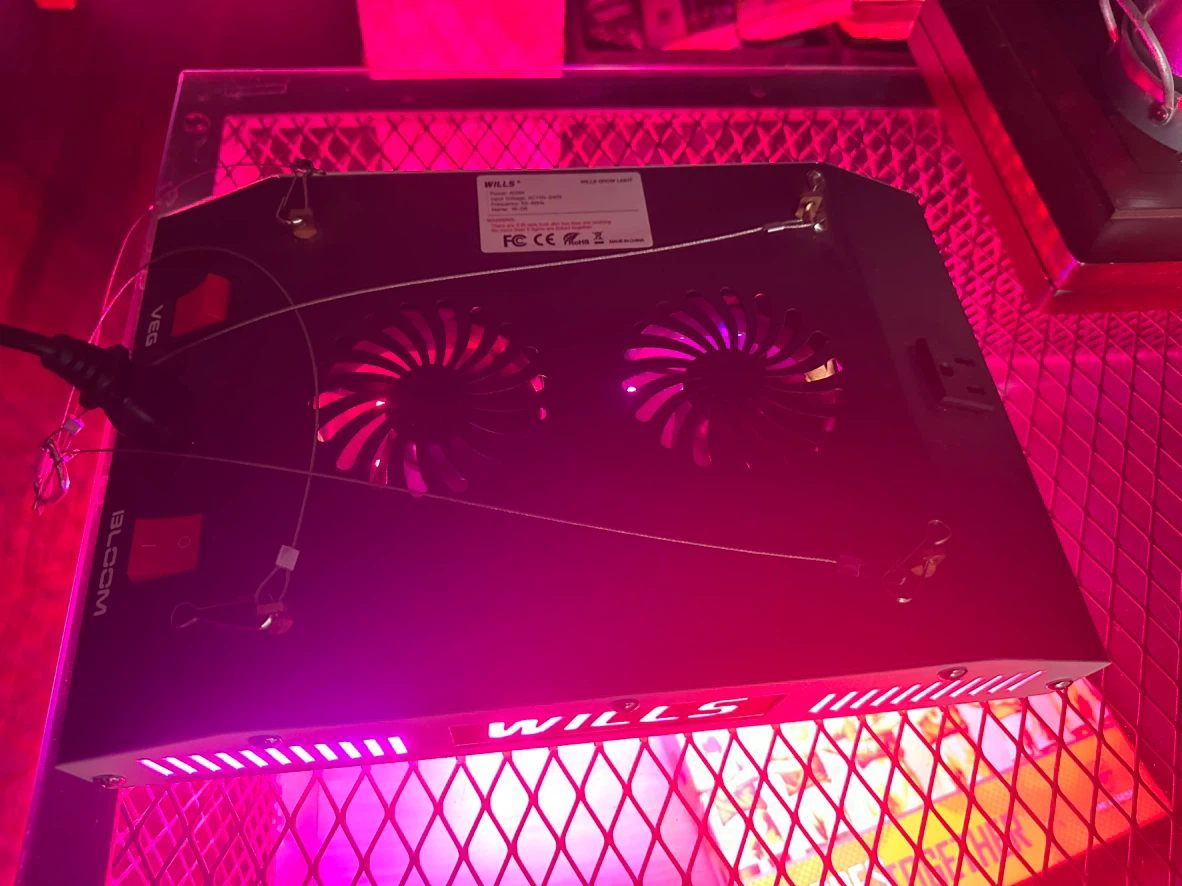Wills 600W LED Grow Light W-D6 - photo 5