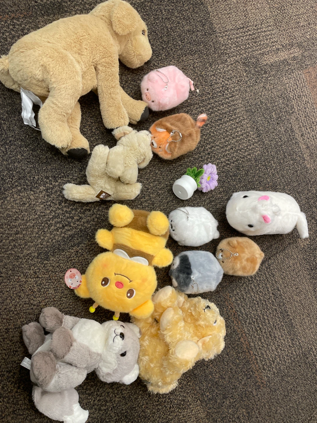 $20 for all Collection of Plush Toys