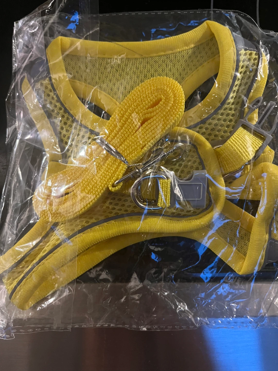 Yellow Dog Harness with Leash