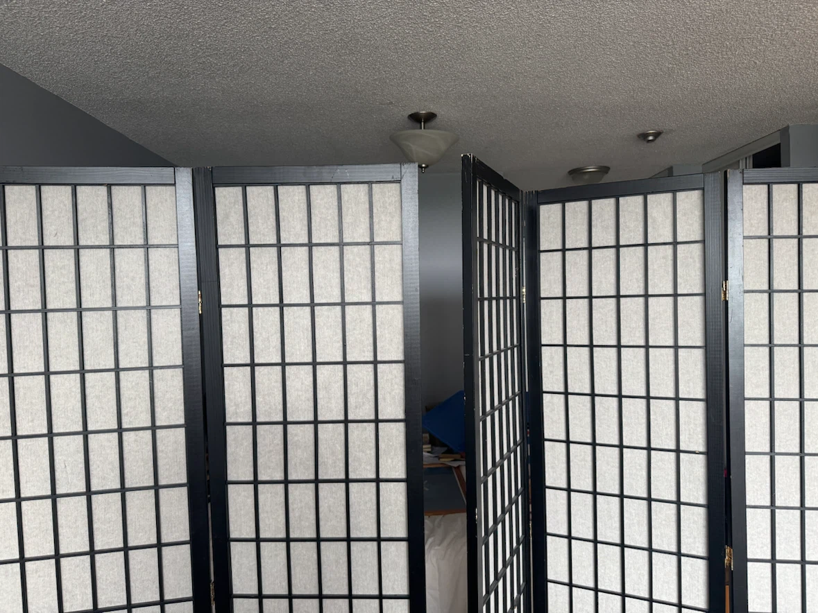 Room dividers - photo 2