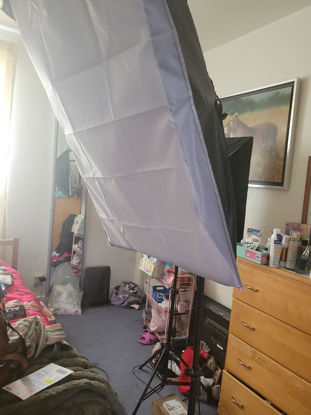 Photography Lighting Softbox Kit with Stand and Bulbs