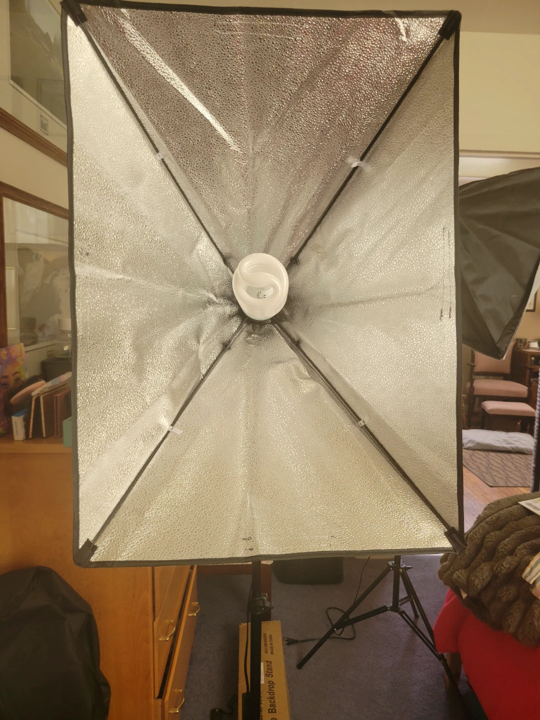 Photography Lighting Softbox Kit with Stand and Bulbs - photo 3