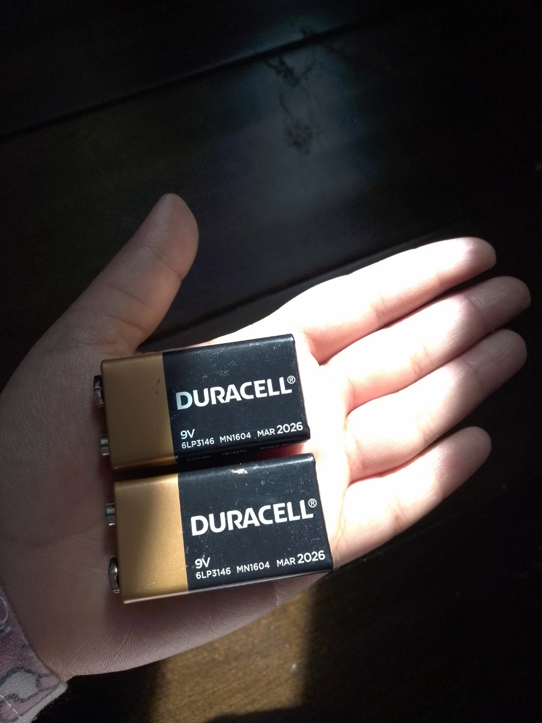 2 Duracell 9V Batteries