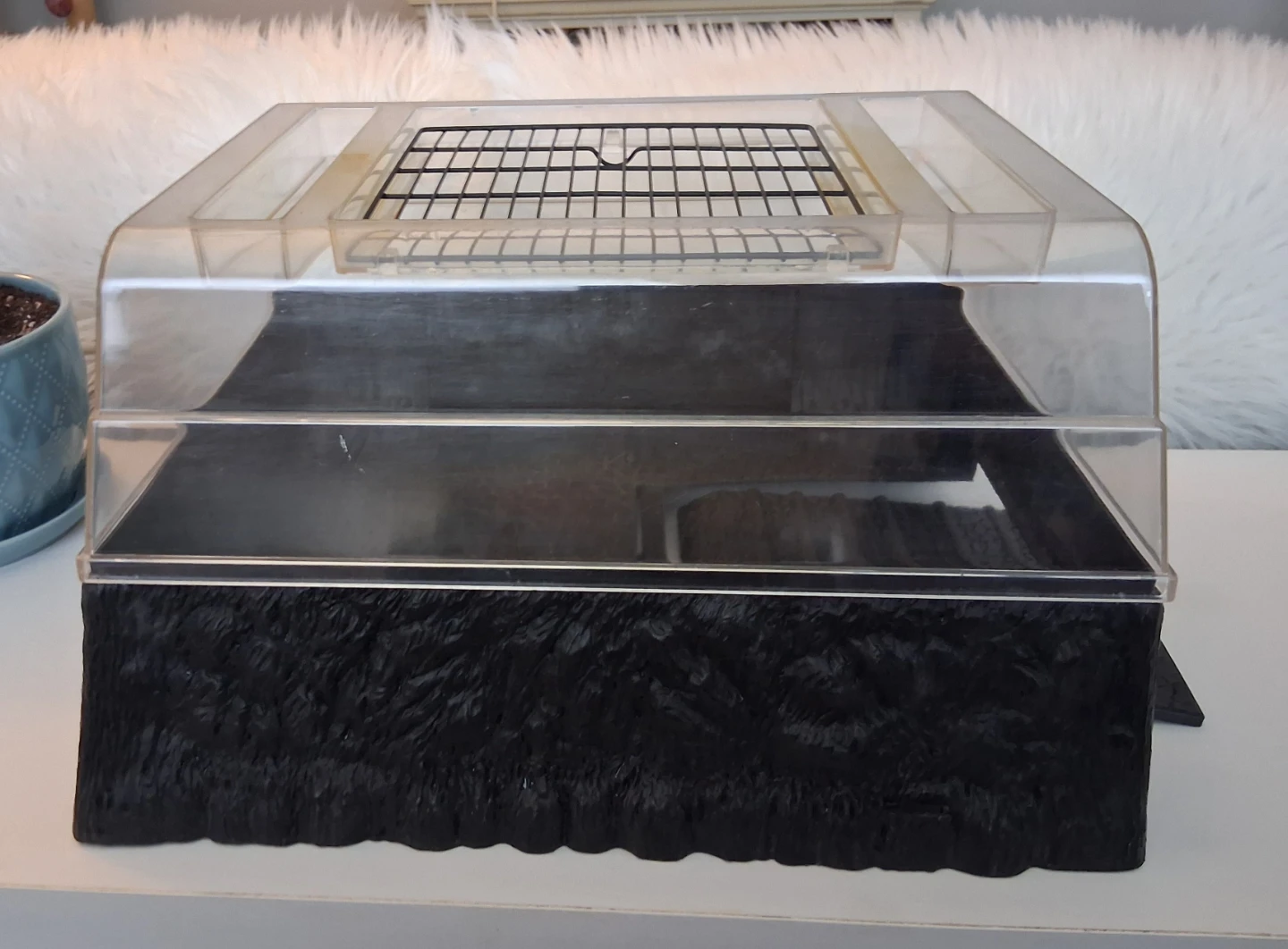 Creature Habitat / Terrarium Topper - photo 3