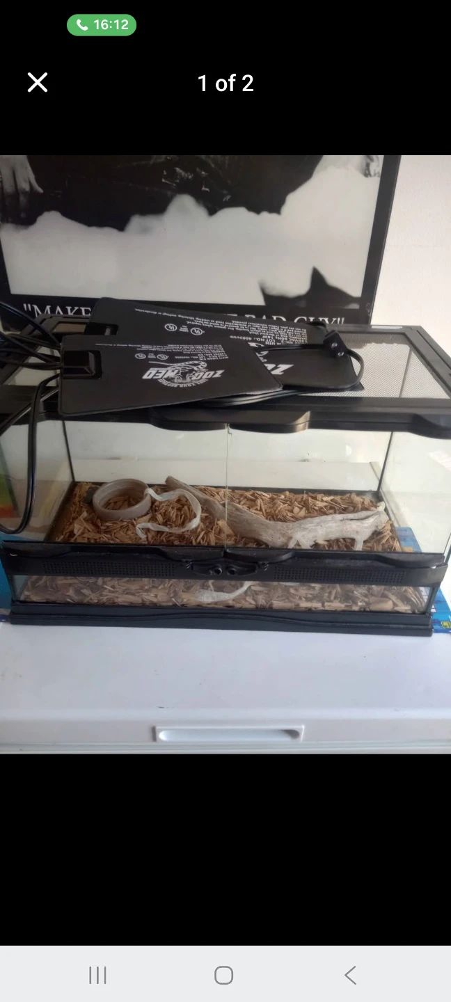 Terrarium with heat mat